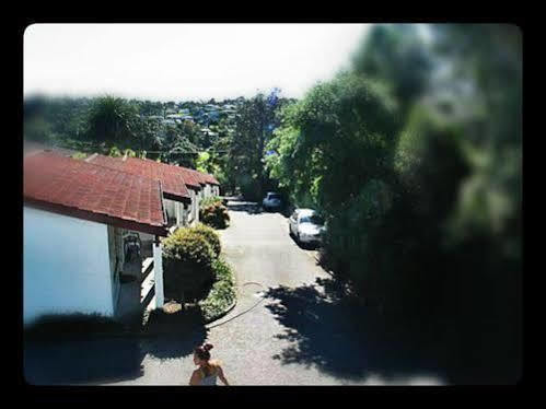 Browns Bay Olive Tree Motel & Apartment Okura Bush Exterior foto
